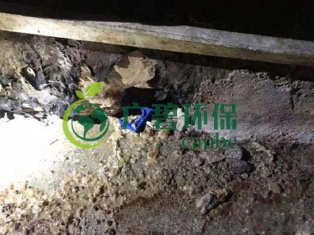廣州旺旺食品廢水直排，永和河大量魚(yú)類死亡(圖4)